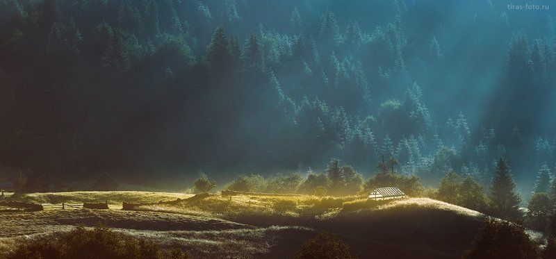 Карпаты, горы, рассвет, лето, туман лучиphoto preview