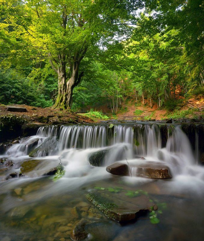 Летняя прохлада фото превью