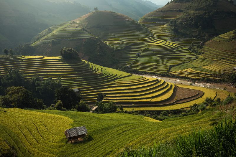 Color Image, Grass, Horizontal, Landscape, Mountain Range, North Vietnam, Outdoors, Photography, Rice - Food Staple, Rice Paddy, Terraced Field, Tranquil Scene, Vietnam Rice terrace (vietnam)photo preview