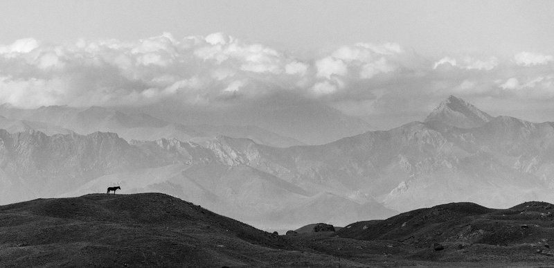 Ачик-Таш, пик Ленина, Киргизия, Памир, лошадь, горы, небо, облака На поляне Ачик-Ташphoto preview