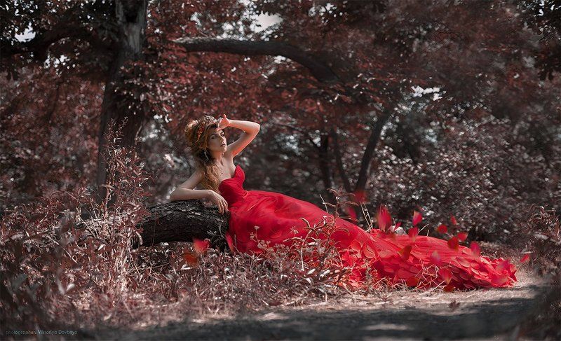 art, fairytale, girl, fashion, beautiful, light, white, sexy, female, , red, glamour, model, beauty, eyes, face, young, hair, pretty, cute, flower, sun, summer, fantasy, photo, photography, photoshop, dream, body, flowers, forest, magic, nature, retoucher Mariaphoto preview