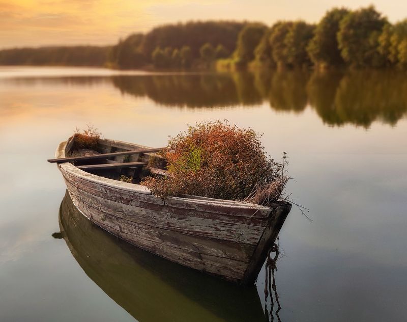 лодка,пейзаж,калиниград,смартфон,35awards  фото превью