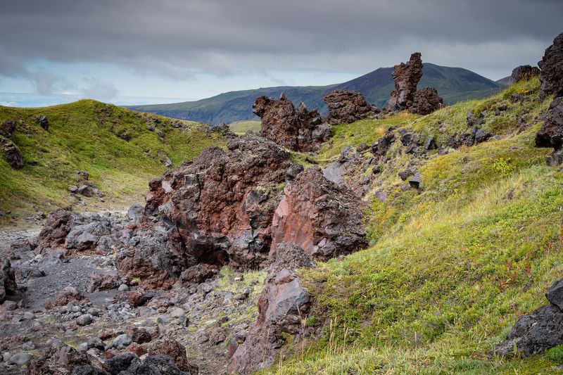 Камчатскими тропамиphoto preview