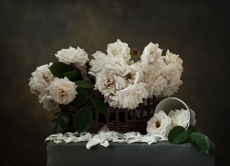 натюрморт, цветы, розы Букет розphoto preview