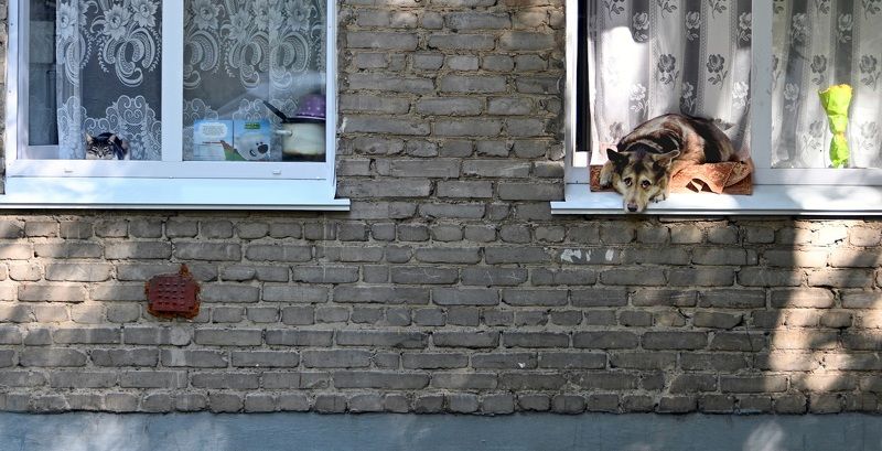 Одни домаphoto preview