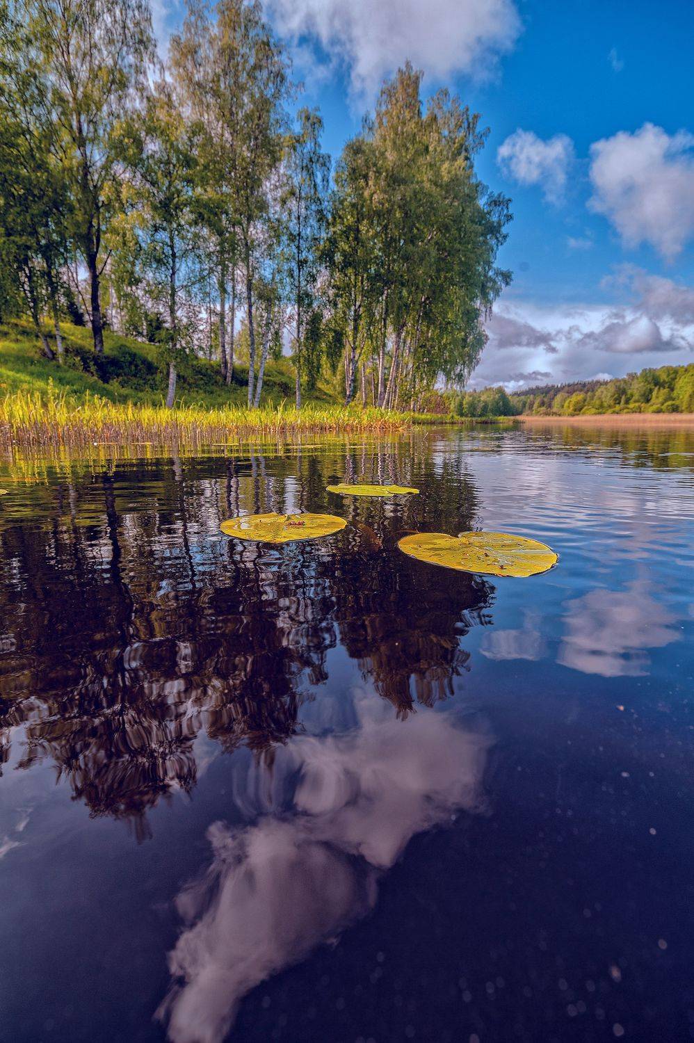 , Павел Жданов