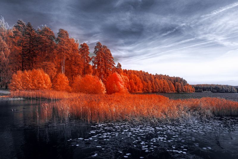 Осенний ветерphoto preview