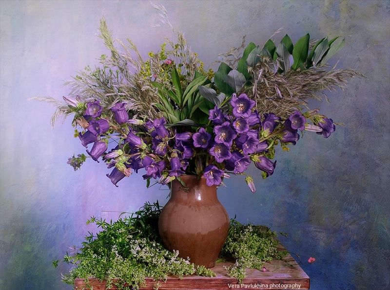 натюрморт, вера павлухина, колокольчик, фиолетовый, натюрморт, Колокольчикиphoto preview