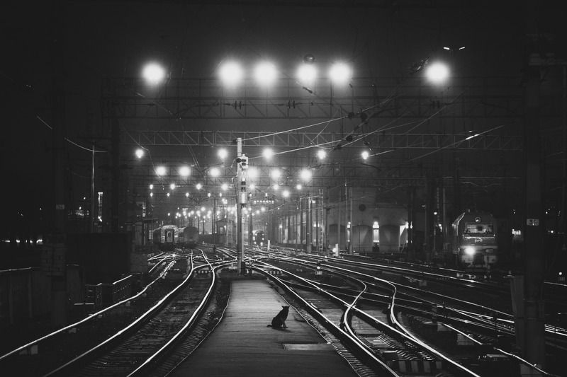 ночь, москва, ночной город Москваphoto preview