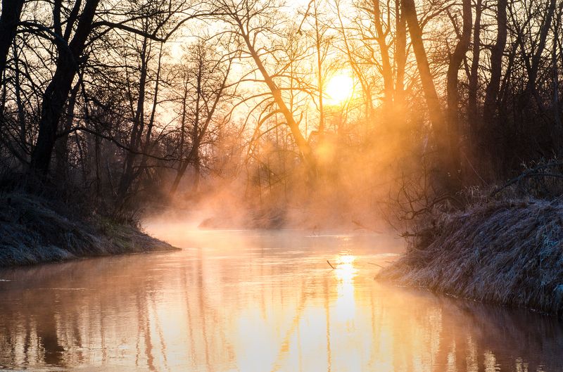 туман, река, Брянская область Туман на рекеphoto preview