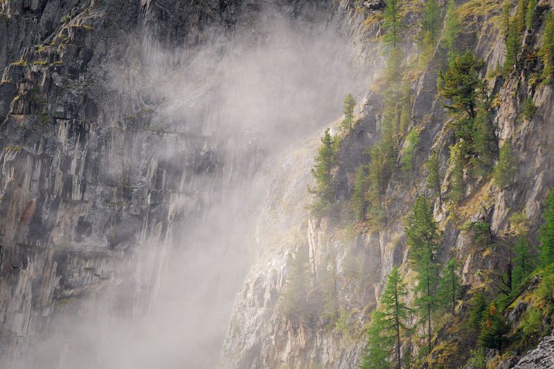 И на камнях растут деревьяphoto preview