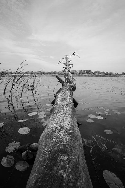 UntitledPattern#623photo preview