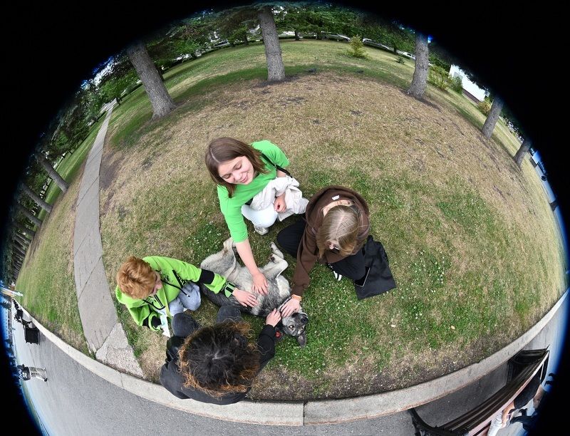 Как говорят, чтоб я так жил.photo preview