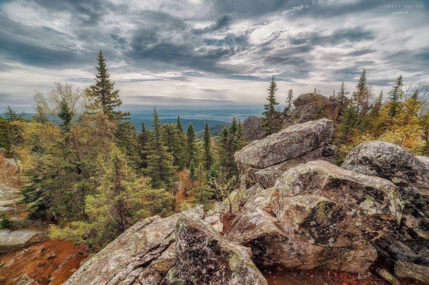 , Никитин Алексей