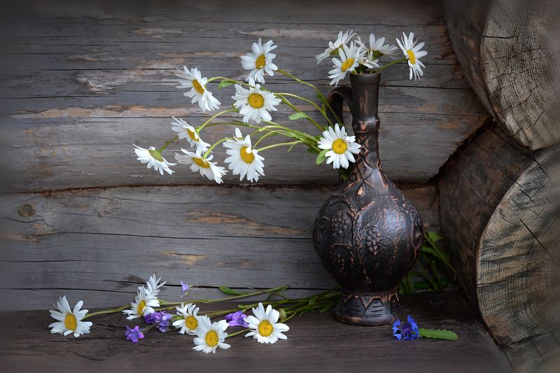 Ромашковый хороводphoto preview