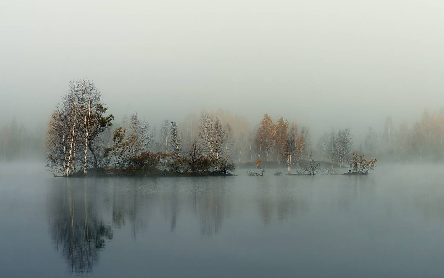 отражение, Ангара, Братск, осень, тайга, туман, утро, Павлов Дмитрий