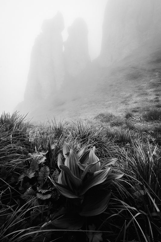 2023 фото превью