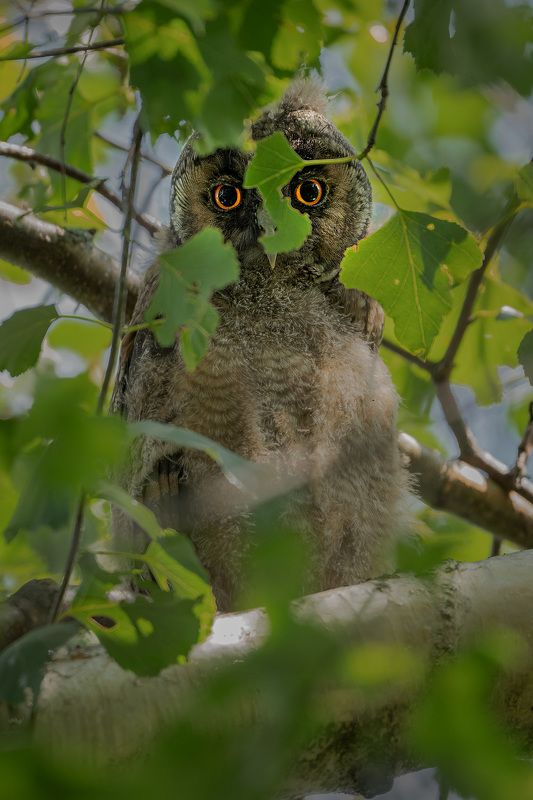 Маскировкаphoto preview