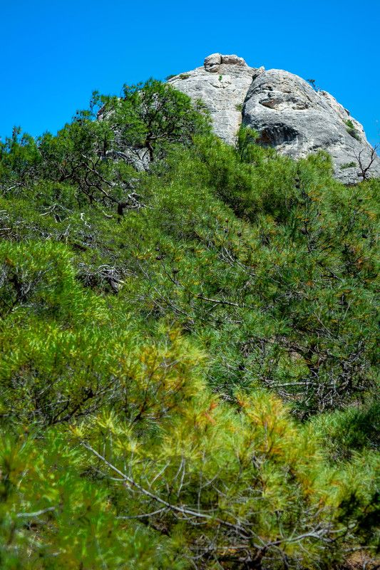 Великанphoto preview