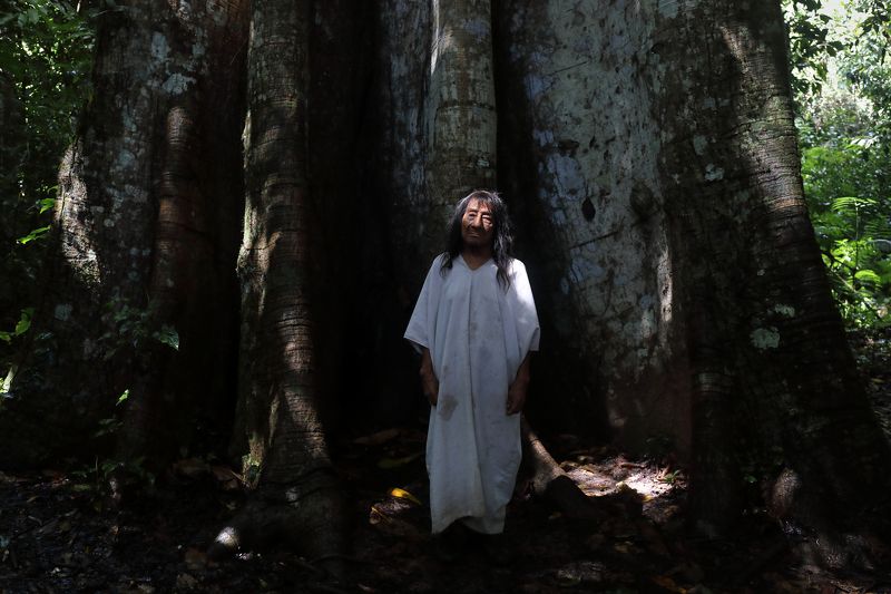 selva lacandona, Chiapas, Indigenas, Lacandones, Jungle Lacandona, Indigenous The Last Lacandonesphoto preview