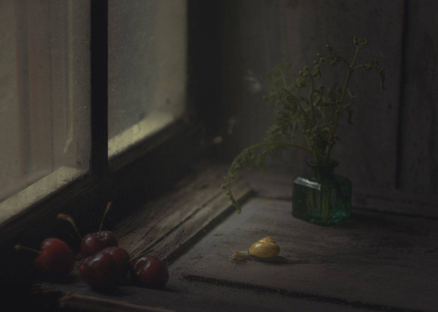 Сherry. Автор: Ricci Natalia , Ricci Natalia