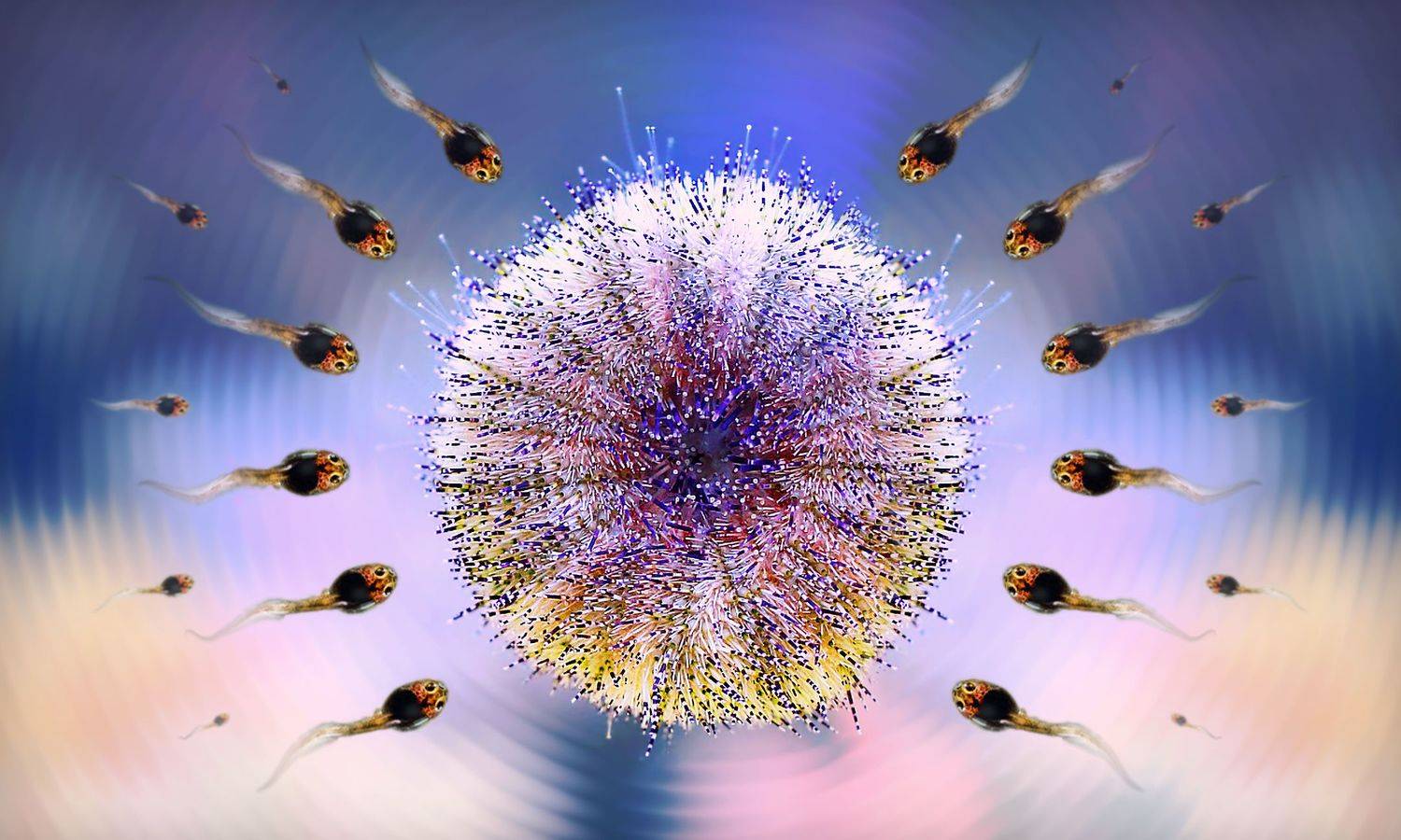 creative, креатив, манипуляция, концепция, сигнал, цифровое, искусство, digital, art, signal, eternal, call, waves, Дмитрий Салтыков