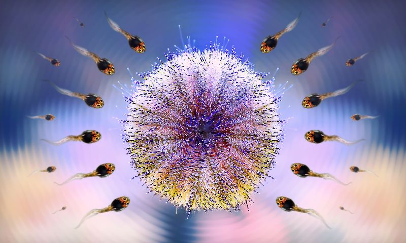 creative, креатив, манипуляция, концепция, сигнал, цифровое, искусство, digital, art, signal, eternal, call, waves Вечный зов...photo preview