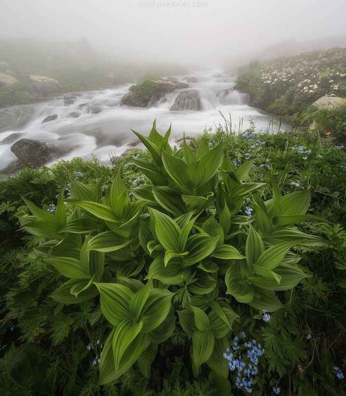кчр, фототур, поход, яковлевфототур, загеданские, имеретинское, безмолвия, кавказ, имеретинка, загеданка На берегу реки Имеретинкаphoto preview