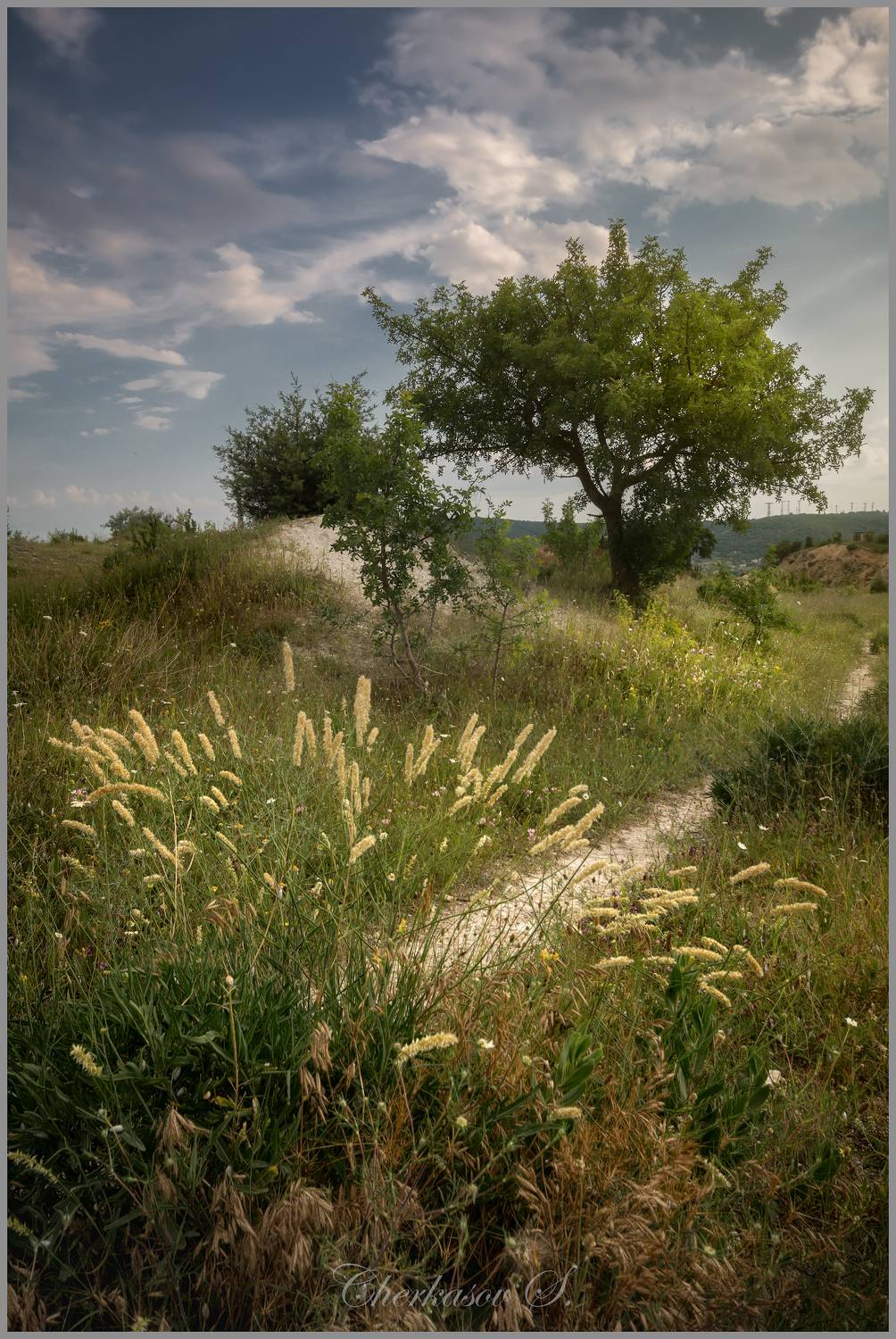 , Черкасов Сергей