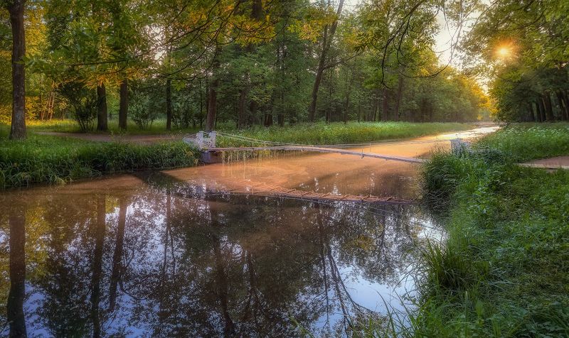 лето канал пруд солнце отражение деревья небо Каналы Царского Селаphoto preview