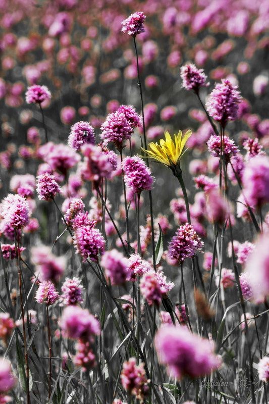 пейзаж  Нестандартphoto preview