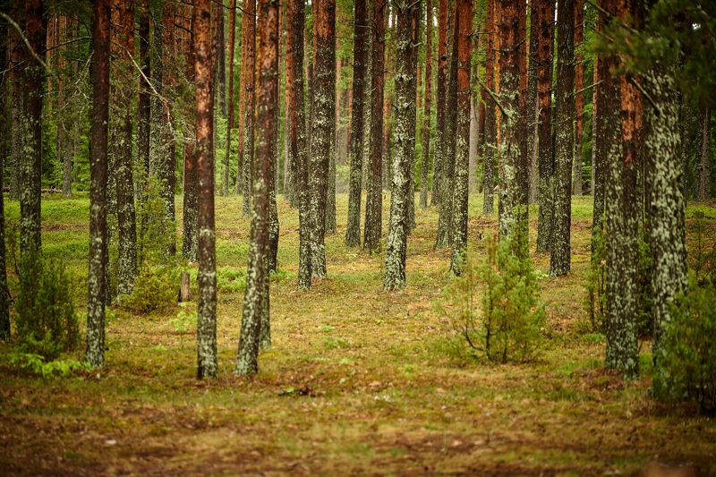 Окно в спокйствиеphoto preview