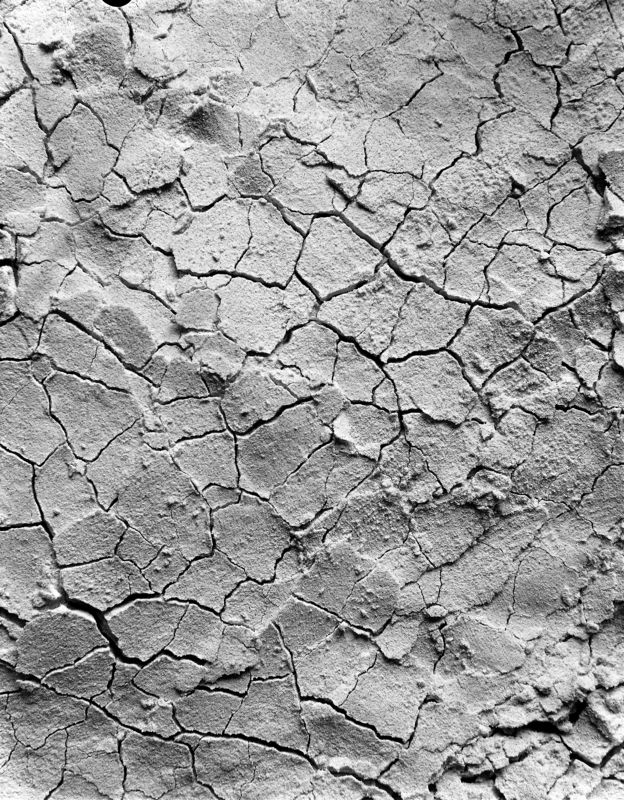 большой формат, 4*5, пленка ***photo preview