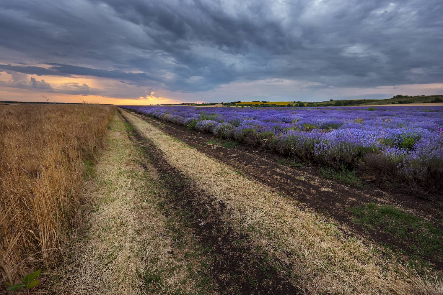 , Георгиев Иван