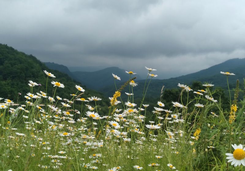 Летный пейзаж..photo preview