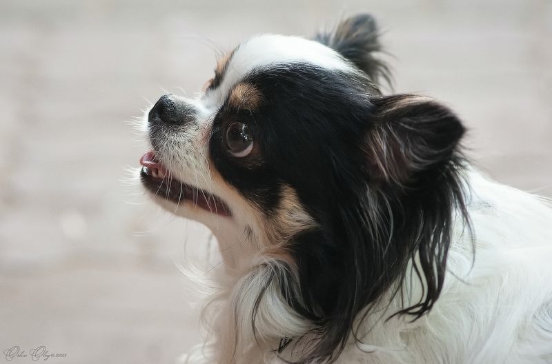 Верю...photo preview