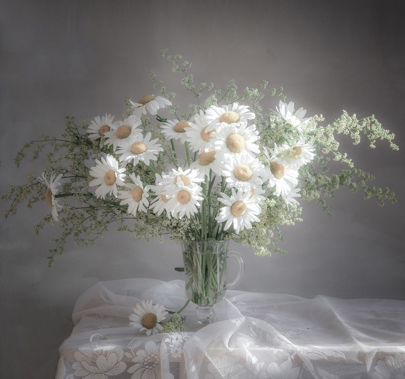 Скромные ромашкиphoto preview