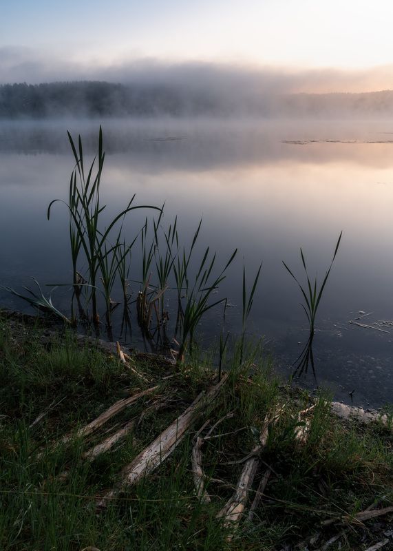 Утренние зарисовки…  Morning sketches...photo preview