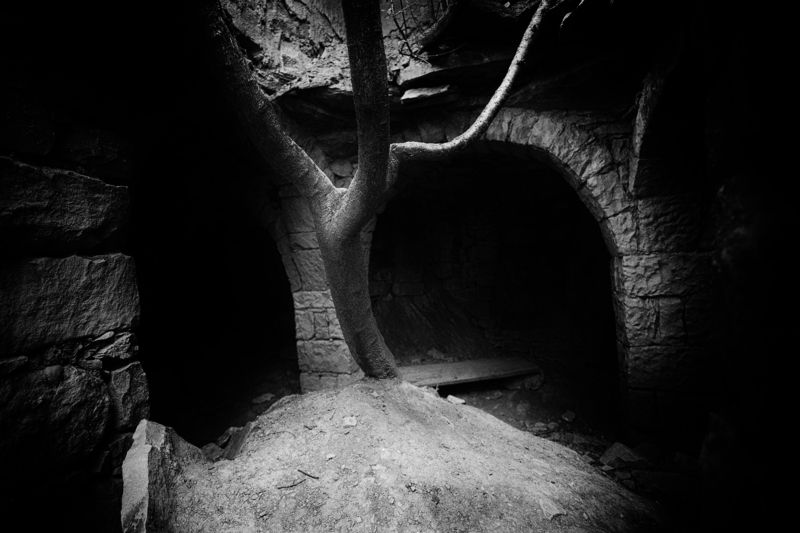 Любовь к жизниphoto preview