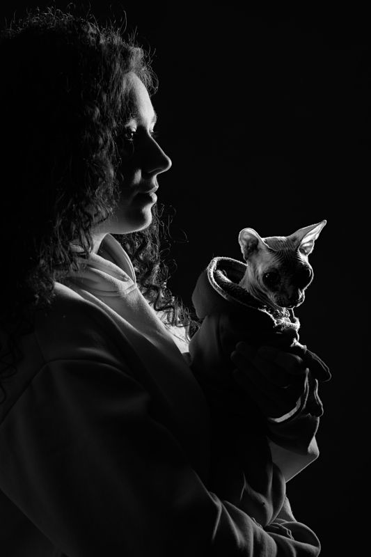 женский портрет, портрет, студийный портрет, кот, сфинкс, черно-белое Аннаphoto preview