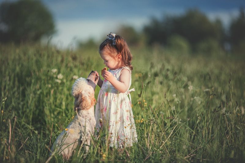 Друзьяphoto preview