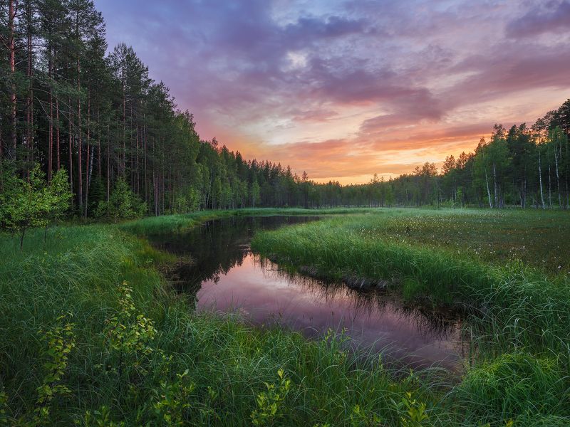 Карельское болотоphoto preview