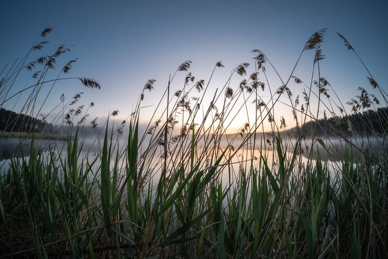 Утренние зарисовки… Morning sketches…photo preview