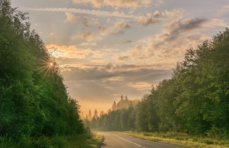 утренний светphoto preview