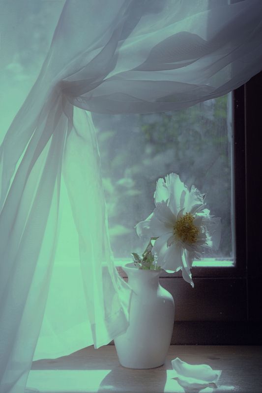 Лунный светphoto preview