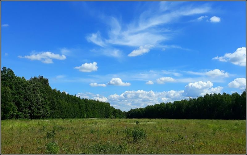 Треугольникphoto preview