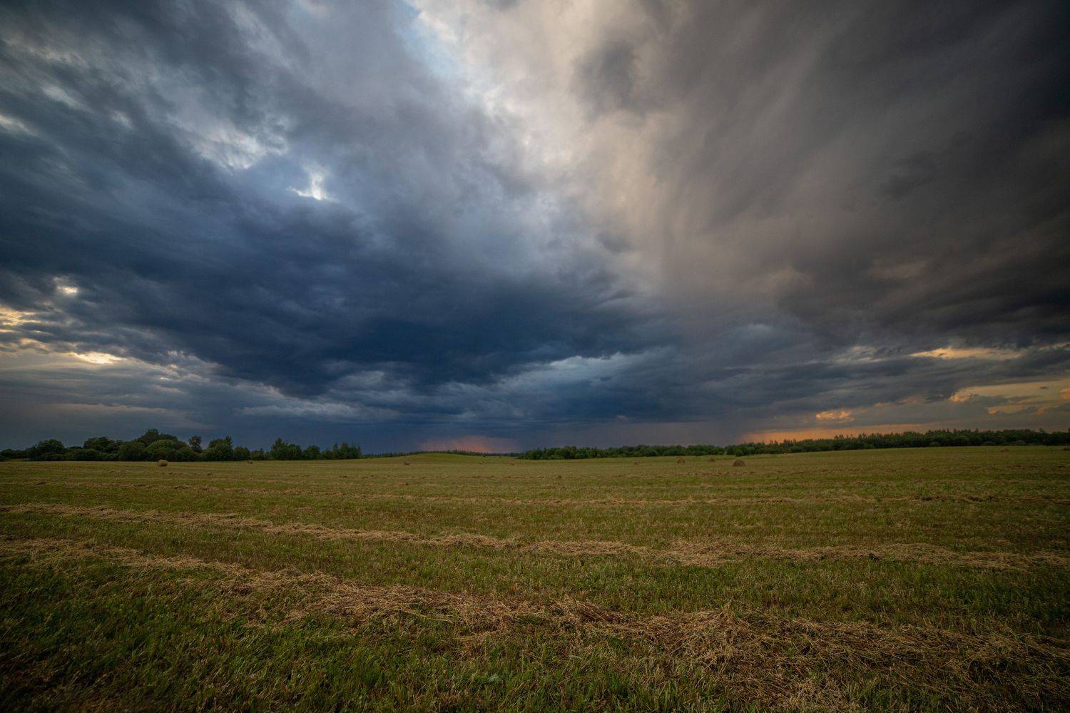 , Герасимова Елена