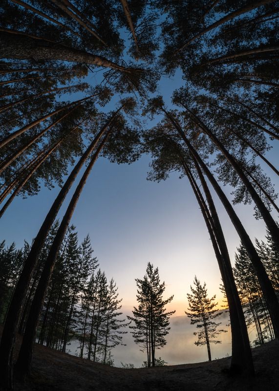 Утренние зарисовки… Morning sketches…photo preview