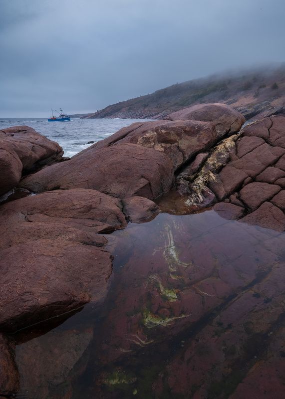 Домаphoto preview