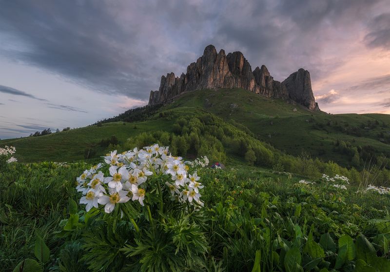 западный кавказ, природный парк большой тхач Когда в горах цветут цветыphoto preview